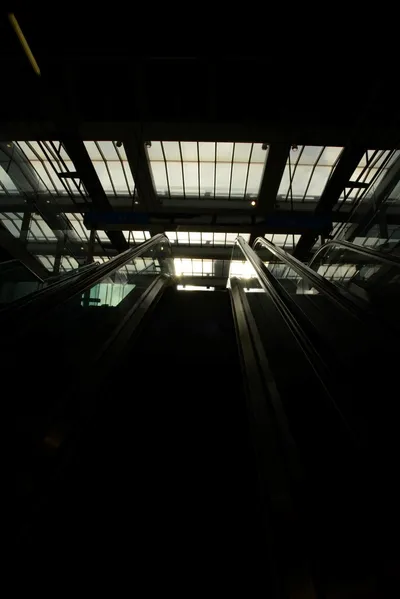 DSC_1231 (Large).JPG